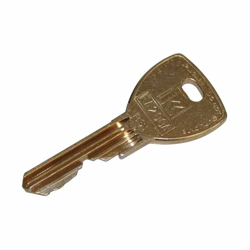 Llave oro programación rielda RS1 FA200A Fas