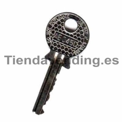 Llave de usuario Rielda AE045C plata Necta