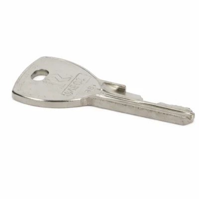 LLave de usuario RS1 Saeco